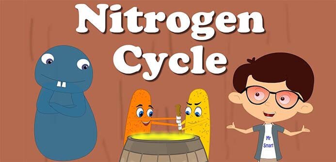nitrogen aerosol